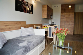 Apartament Galicja III Zator